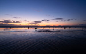 zonsondergang op het strand bij Scheveningen met meeuwen op de voorgrond Fotograaf Deventer | Bedrijfsfotografie | Geënsceneerde fotografie | Studiofotografie